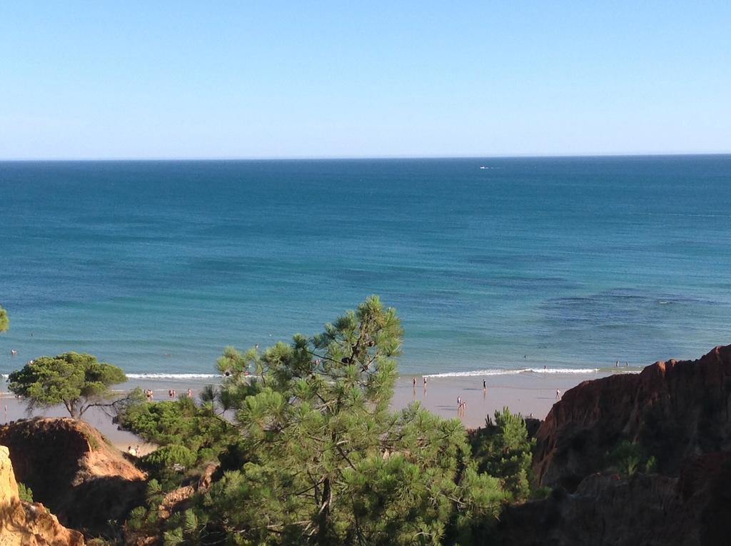 Sailing Studio Acoteias
